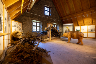 Die Bärenausstellung im Museum Schmelzra.